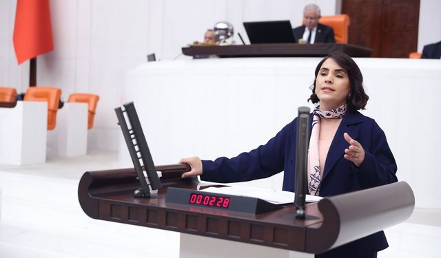 DEM Partili Uysal Aslan: “Ağırlaştırılmış Müebbet Rejimi İnsanlık Dışıdır”