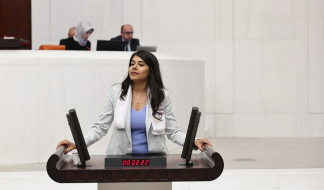 Beritan Güneş, Okullara uzman çavuş değil psikolog, sosyal hizmet uzmanı, rehber öğretmen görevlendirilmeli