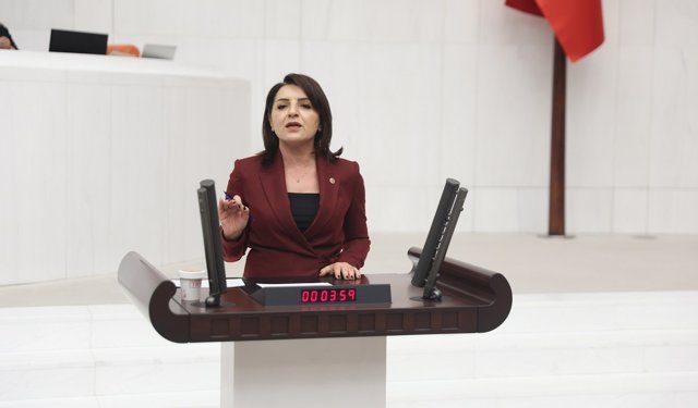 CHP’li Gülcan Kış: “Emekli pazara 500 lirayla çıkıyor, eli boş dönüyor”