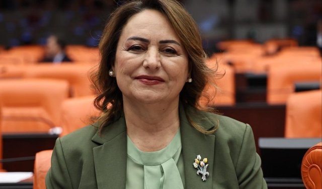 CHP’li Şevkin TBMM’de tek tek saydı: “Adana’nın sorunları daha fazla bekleyemez”