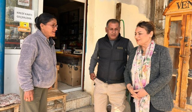CHP’li Dr. Müzeyyen Şevkin, Kızıldere Köyü Bakkal Esnafının Vergi Mağduriyetini TBMM’ye Taşıdı