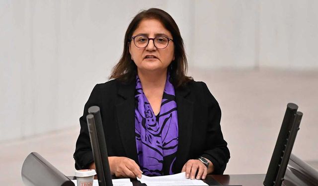 DEM Partili Ayten Kordu'dan Yaprak Kurban İçin TBMM İnsan Hakları Komisyonu'na Başvuru
