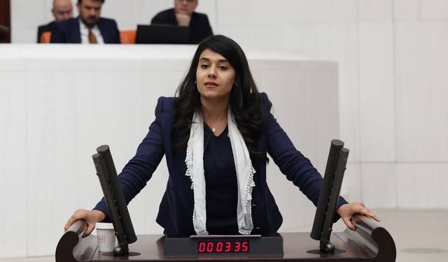 Beritan Güneş Altın’dan “Kayıplar Komisyonu” Çağrısı