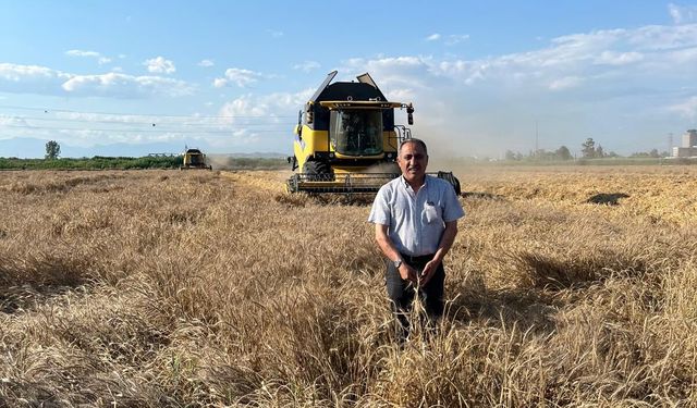 Çukurova’da Hasat Öncesi Tedirgin Bekleyiş: “Buğdayda Belirsizlik Bitsin”