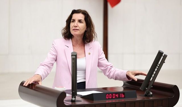 CHP'li Aliye Coşar: "12 Değil 50 Yargı Paketi Gelse Saray Yargısı Değişmez"