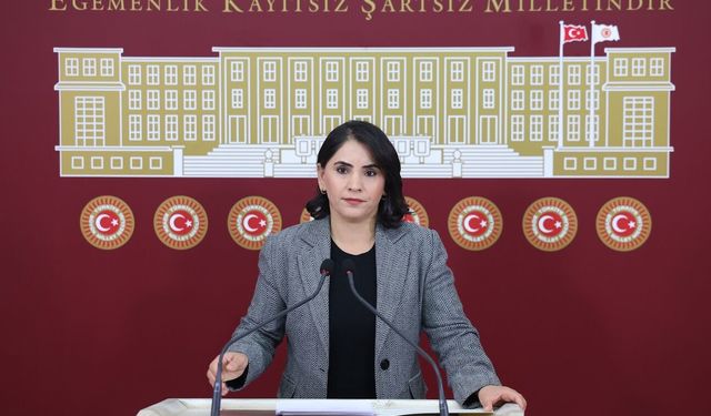 Nevroz Uysal Aslan: “Ahmet Tüneli’nin Özgürlüğünün Gaspı Faşizan İnfaz Rejiminin Son Örneğidir”