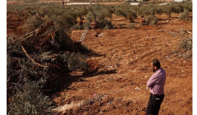 Uluslararası Af Örgütü: İsrail Batı Şeria’da etnik temizliği hızlandırıyor