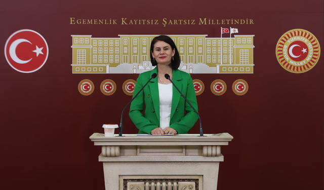 Gülcan Kaçmaz Sayyiğit: “Özgürlük ve demokrasi konuşulurken KHK mağduriyeti unutulamaz”