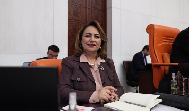 CHP'li Şevkin: “Adana Hak Ettiği Değeri Görmüyor”