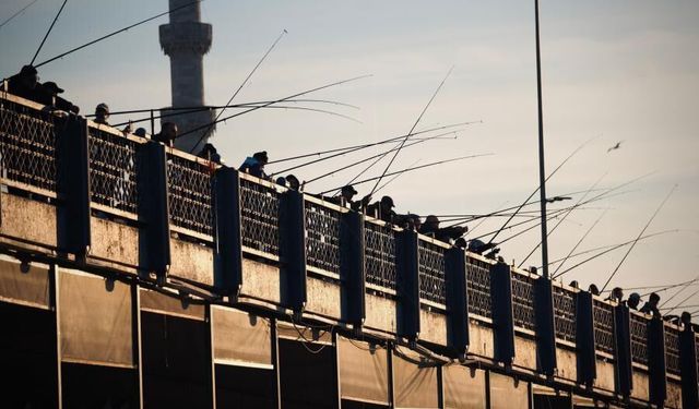 Dayanıklı Olta Kamışı Nasıl Seçilir?