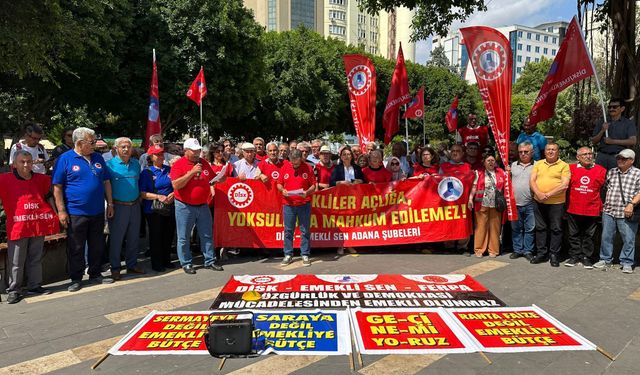 Şeyhmus Kaya: Emeklilerin ne bir haftayı ne de bir günü kutlayacak durumu kalmıştır