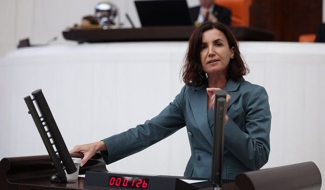 CHP'li Aliye Coşar: "Seçim Güvenliği 86 Milyonun Ortak Meselesidir"