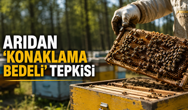 Babacan'dan arıcılardan alınacak 100 liralık konaklama bedeline tepki: "Bu nasıl destek sistemidir?"
