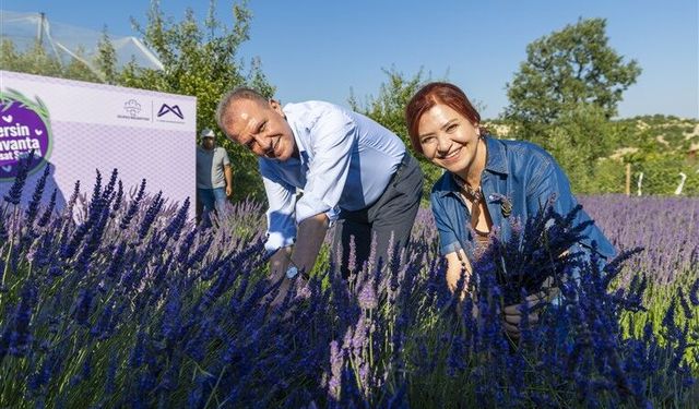 Başkan Seçer İle Meral Seçer, ‘8. Lavanta Hasat Şenliği’ne Katıldı