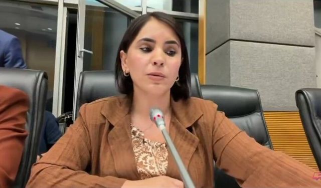 DEM Partili Newroz Uysal Aslan: "Çocuk Bakanlığı Kurulmalı"