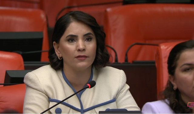 Nevroz Uysal Aslan: KHK mağduriyetleri giderilmeli, ihraç edilen akademisyenler görevlerine iade edilmeli
