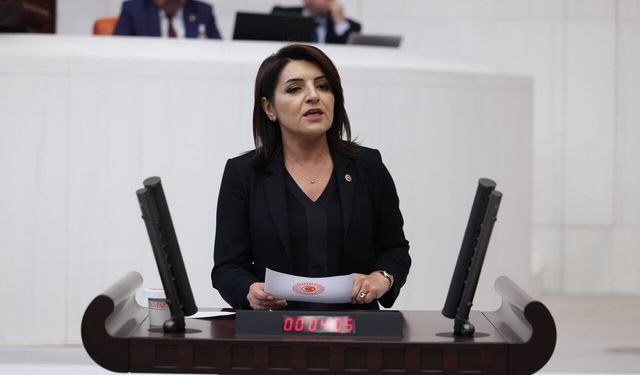 GÜLCAN KIŞ: “SARAY, BİR EMEKLİNİN BİR AYLIK MAAŞINI 43 SANİYEDE HARCIYOR!”