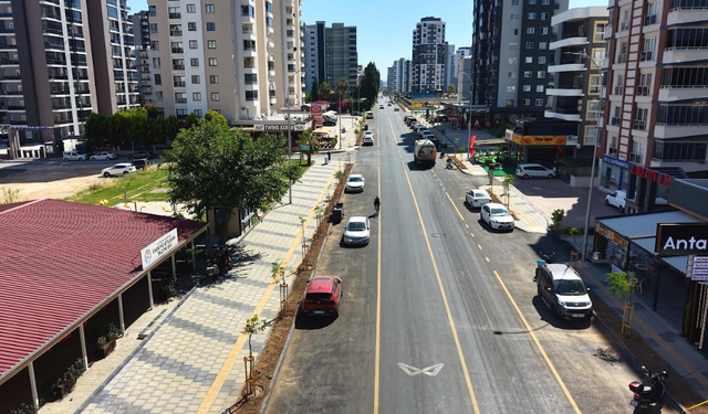 MERSİN BÜYÜKŞEHİR, MEZİTLİ GAZİ PAŞA CADDESİ’NDE 420 AĞACI TOPRAKLA BULUŞTURDU