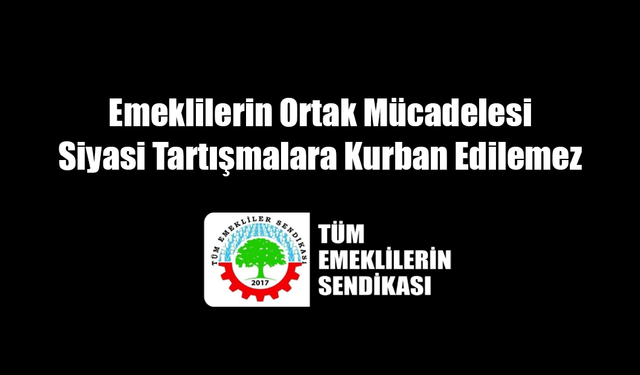 Tüm Emeklilerin Sendikası: "Emeklilerin Ortak Mücadelesi Siyasi Tartışmalara Kurban Edilemez"
