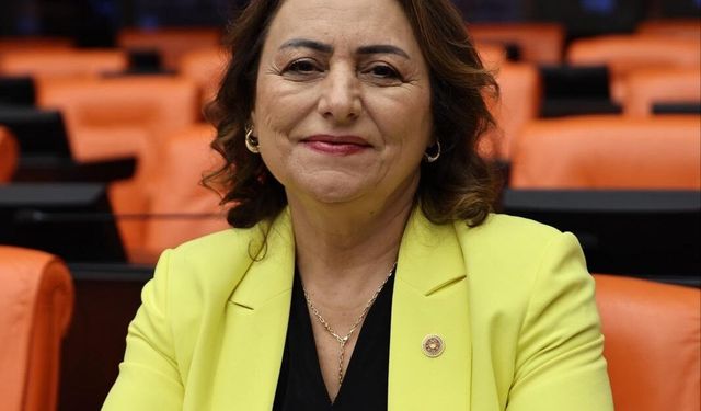 Müzeyyen Şevkin; “Mimar, mühendis ve şehir plancıları sefalet ücretlerine mahkum edildi”