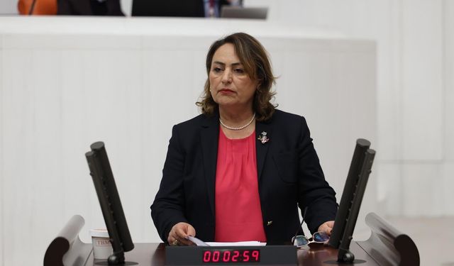 Seyhan-2 ve Yüreğir HES’lerin özelleştirilmesine tepki