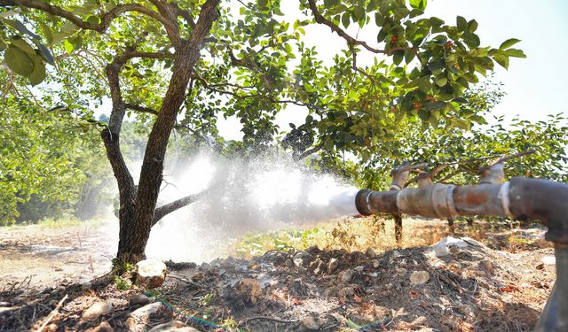 Mersin Büyükşehir Belediyesi, Mezitli Takanlı Mahallesi’ne sulama borusu desteği sağladı