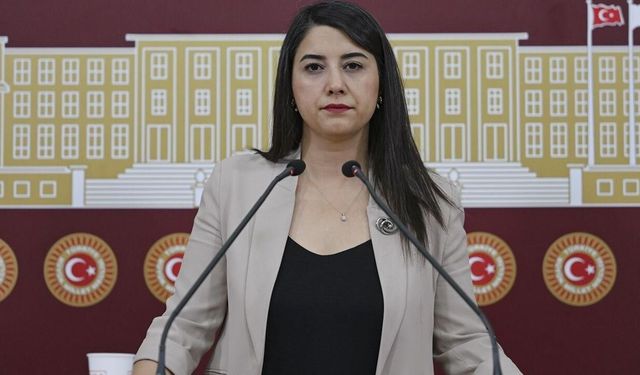 DEM Partili Dilan Kunt Ayan: “Urfa’ya verilen müjdeler tutulmadı”