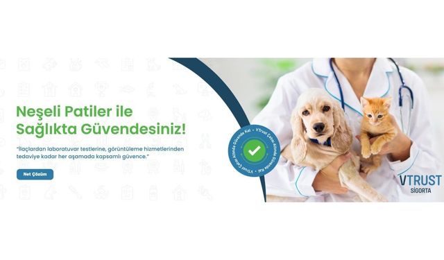 Antalya'da En İyi Evcil Hayvan Sigortası Seçenekleri Ve Değerlendirme Ölçütleri