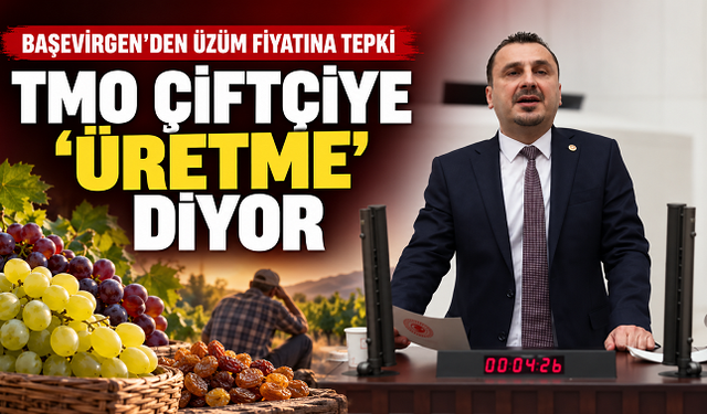 Başevirgen: “TMO’nun Üzüm Fiyatı Çiftçiye ‘Üretme’ Demektir”