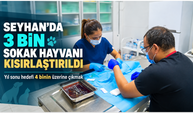 Seyhan’da 3 bin sokak hayvanı kısırlaştırıldı: Yıl sonu hedefi 4 bin