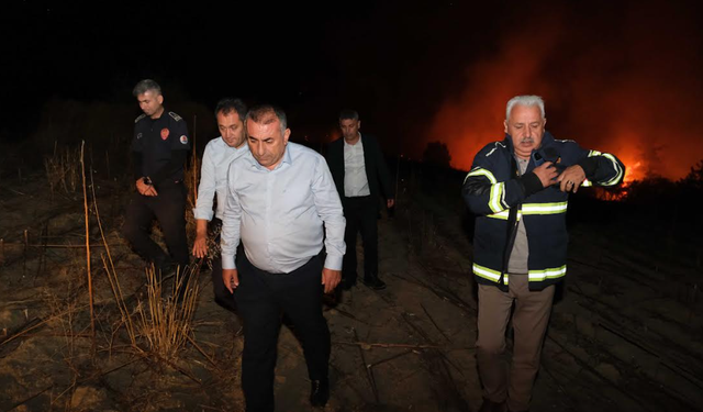 Adana’da Üç İlçede Orman Yangını: Büyükşehir Ekipleri Teyakkuzda