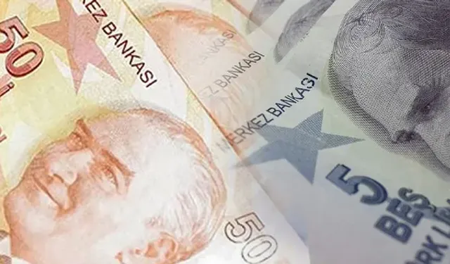 Yeni Tertip 5 ve 50 TL’lik Banknotlar Dolaşıma Girdi