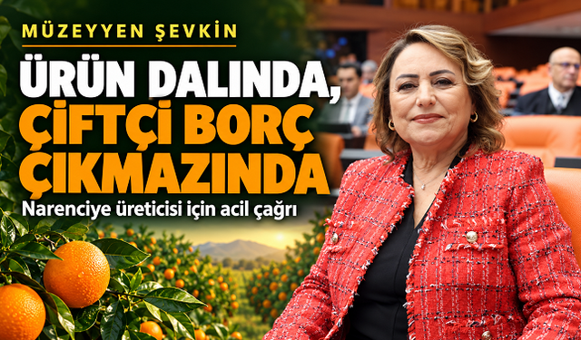 Müzeyyen Şevkin: “Ürün dalında, çiftçi borç çıkmazında”