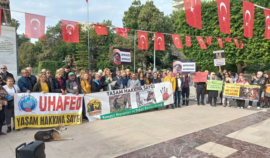 Adana'da Hayvan Severler Haykırdı; "Sokak Hayvanları Sahipsiz Değildir"