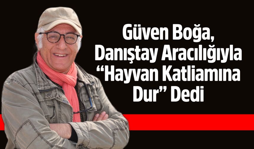 Güven Boğa, Danıştay Aracılığıyla “Hayvan Katliamına Dur” Dedi