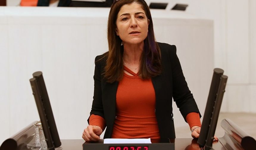 Züleyha Gülüm'den, Deprem Bölgesinde İşten Çıkarılan İşçilere İlişkin Araştırma Önergesi
