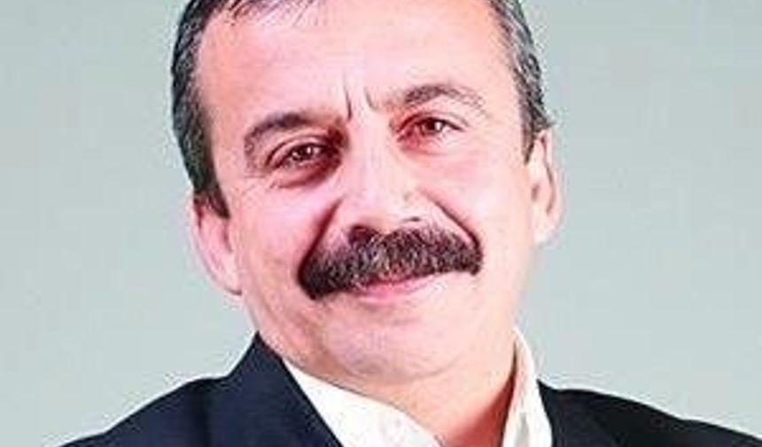 Sırrı Süreyya Önder HDP’nin Meclis Başkanvekili oldu