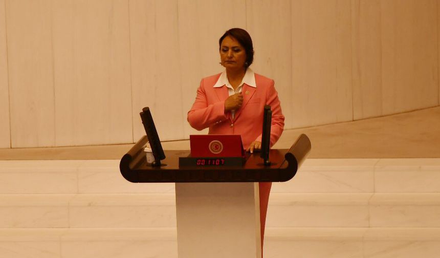 CHP’li Şevkin, mecliste ikinci kez ant içti