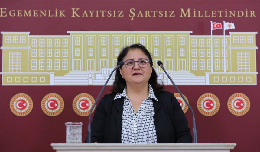 Tunceli Milletvekili Ayten Kordu Munzur Üniversitesinde "Akademisyenler Tehdit Ediliyor"