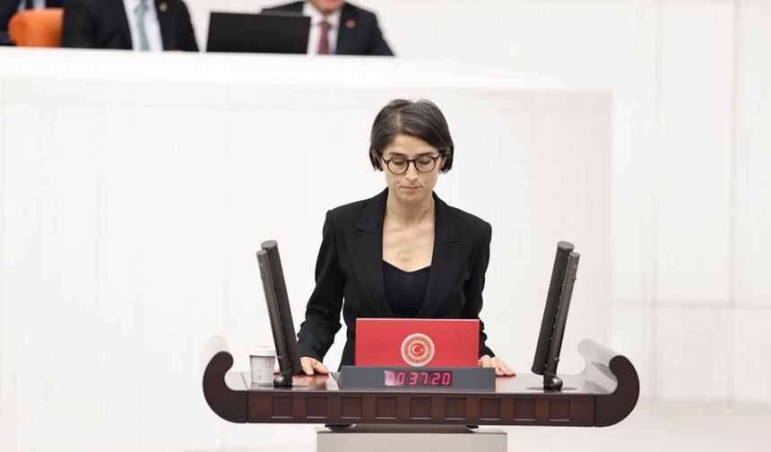 DEM Partili Akça Cupolo’dan Gelir Adaletsizliği ve Emek Hakları İçin Meclis Araştırması Talebi