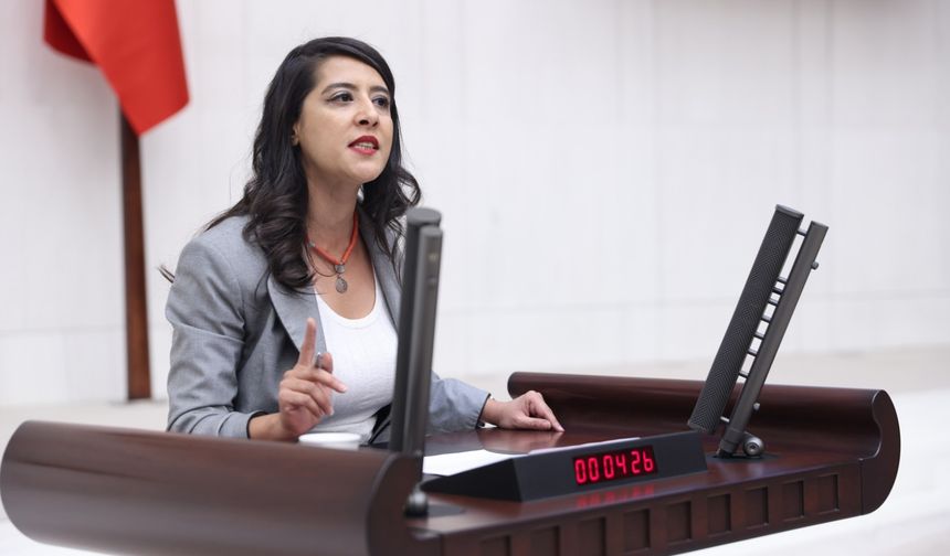 EMEP'li Sevda Karaca, Dilovası’nda ölen işçiler sermayenin kuralsızlığına ve devletin göz yummasına kurban edildi