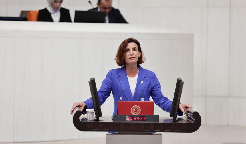 CHP’li Aliye Coşar’dan Alanya’daki Maden Projesine Tepki: “Doğa Değil Rant Tercih Ediliyor”