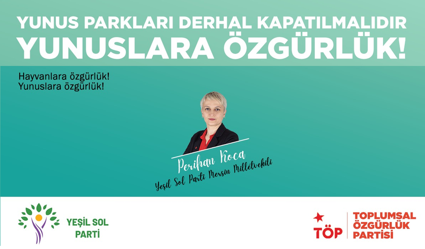 Perihan Koca; Yunuslara Özgürlük. Yunus Parkları Derhal Kapatılmalıdır!