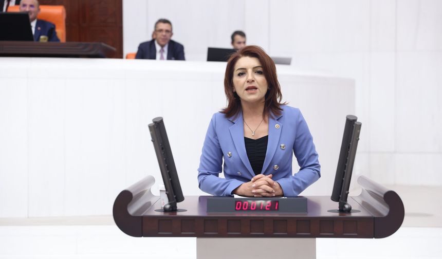 CHP Mersin Milletvekili Gülcan Kış:  “Emeklilikte Adalet Sağlanmalı, Emekçinin Feryadı Duyulmalı”