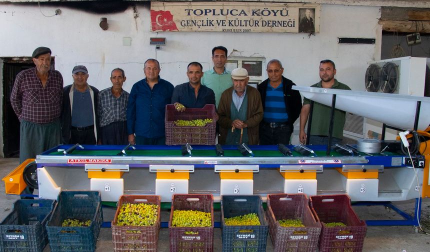 Zeytin Üreticilerinin Yüzü Mersin Büyükşehir İle Gülüyor