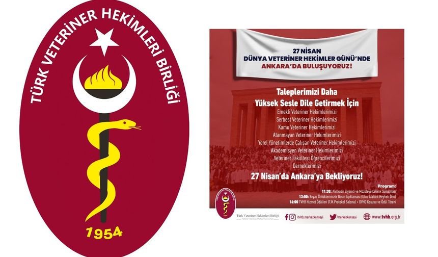 Veterinerler, Dünya Veteriner Hekimler Günü’nde Ankara’da Taleplerini Haykıracak