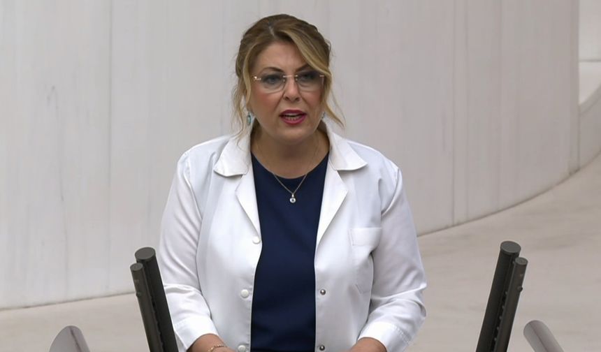 CHP Giresun Milletvekili Elvan Işık Gezmiş, Eczacılar Sağlık Hizmetlerinin En Güçlü Halkasıdır