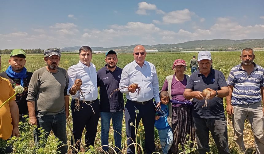 CHP'li Tanal, Mevsimlik Tarım İşçilerinin Ücret Farkını Paylaştı