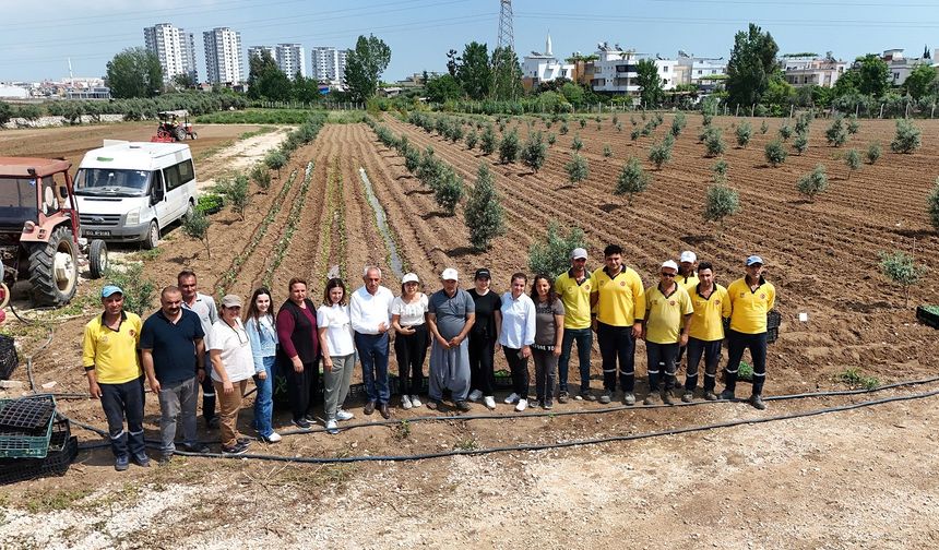 Tarsus Belediyesi ve Tarsus Slow Food Derneği Arasında Tarımsal Üretim İçin İşbirliği