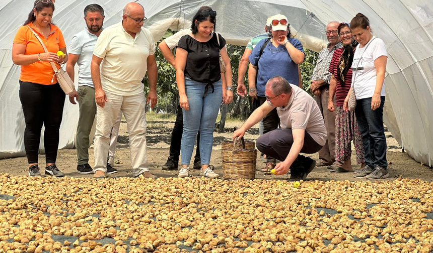 CHP Milletvekili Karakoz; Tarımsal desteklerde İncir’in adı yok